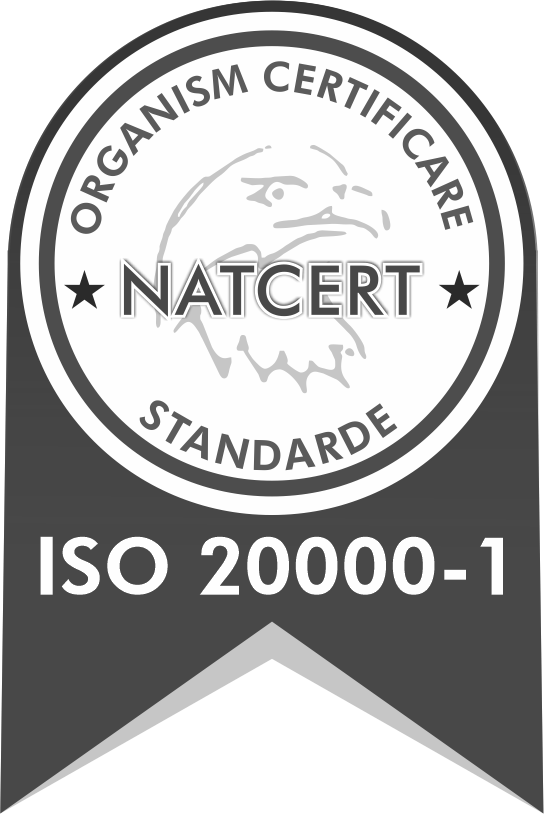 ISO 20000-1-BW